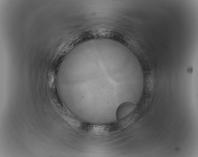 X0000115340709200911161832
