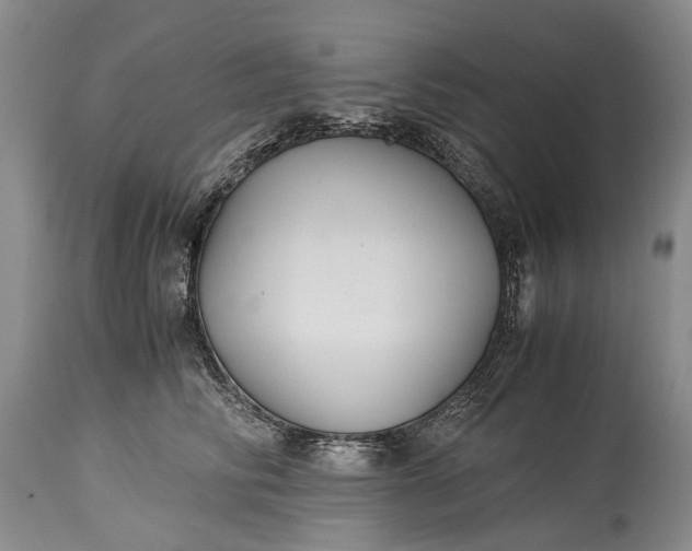 X0000115340710200911161832