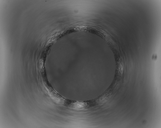 X0000115340711200911161832