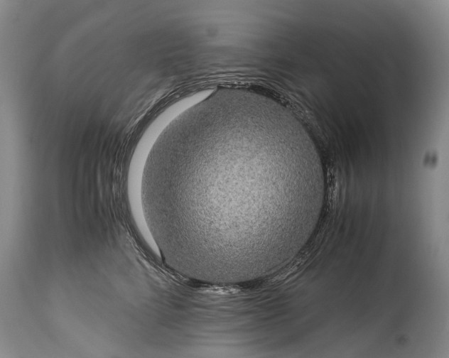 X0000115340712200911161832