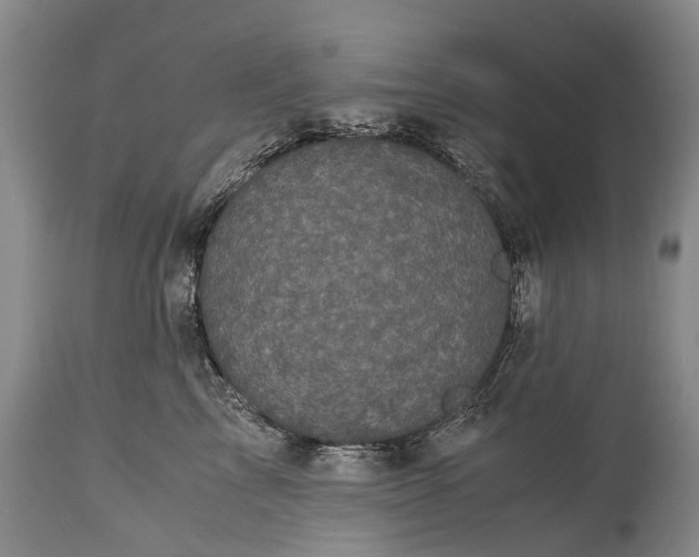 X0000115340713200911161832
