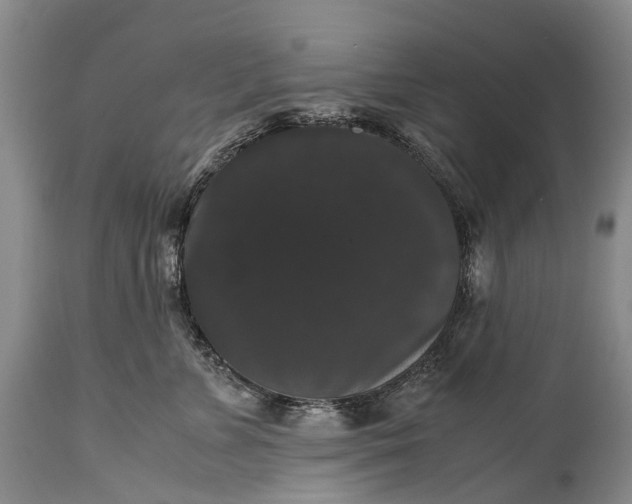 X0000115340715200911161832