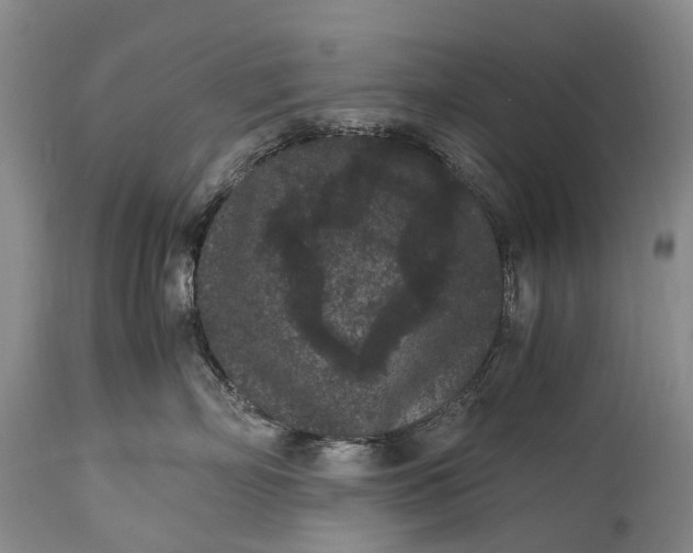 X0000115340718200911161832