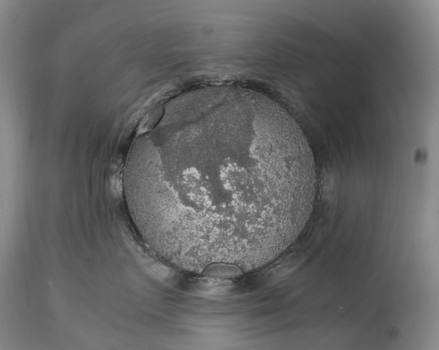 X0000115340719200911161832