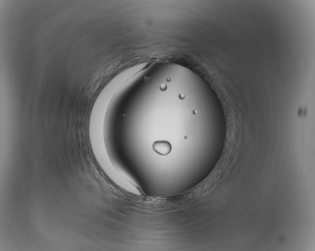 X0000115340720200911161832