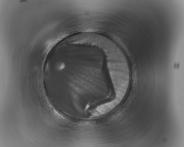 X0000115340721200911161831