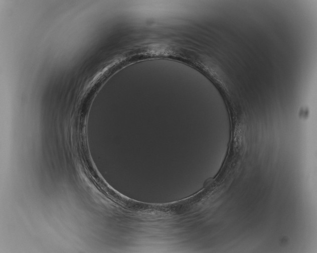 X0000115340722200911161831