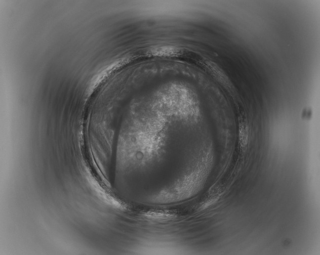 X0000115340725200911161831