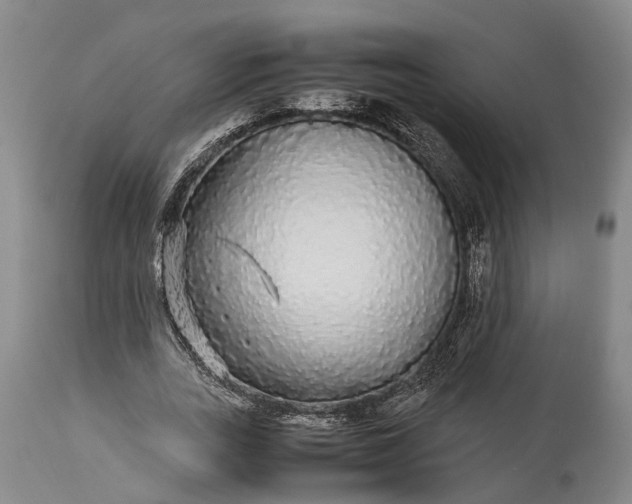 X0000115340727200911161831