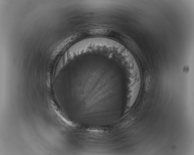 X0000115340729200911161831