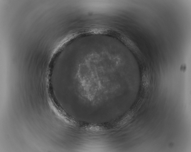 X0000115340730200911161831