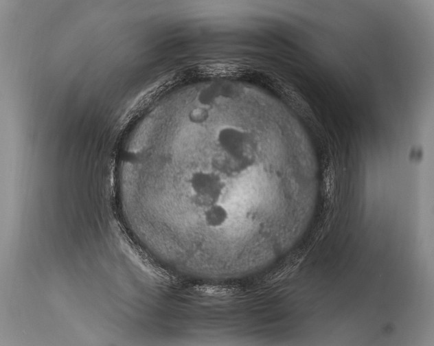 X0000115340733200911161831