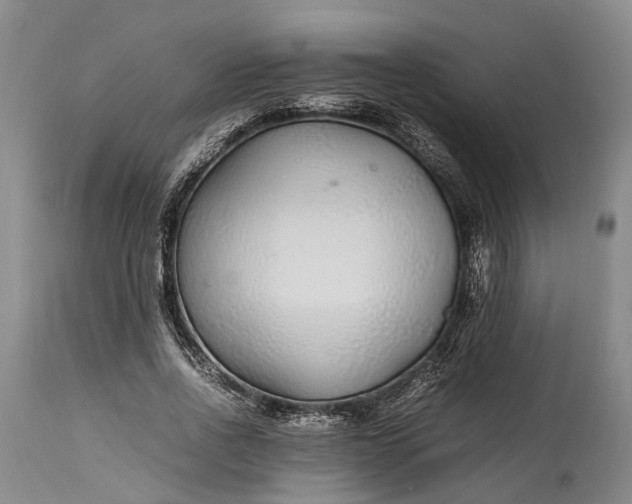 X0000115340734200911161831