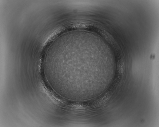 X0000115340735200911161831