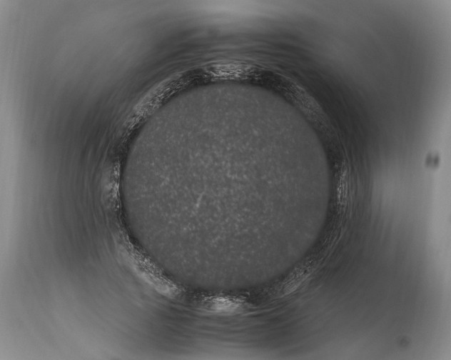 X0000115340737200911161831