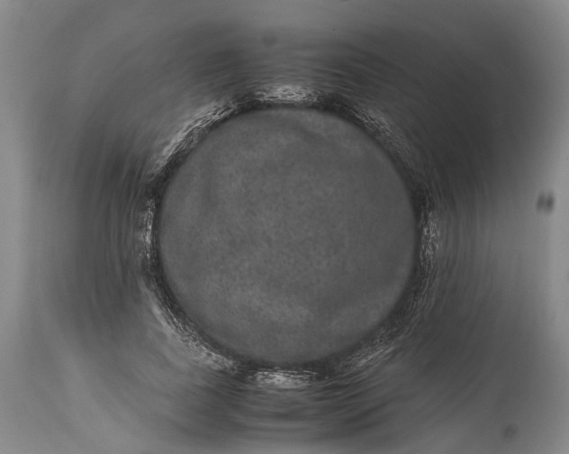 X0000115340739200911161831