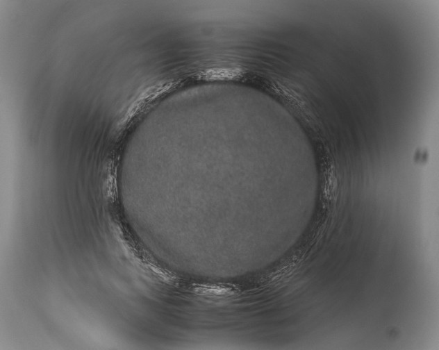 X0000115340743200911161831