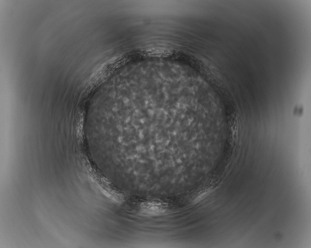 X0000115340745200911161831