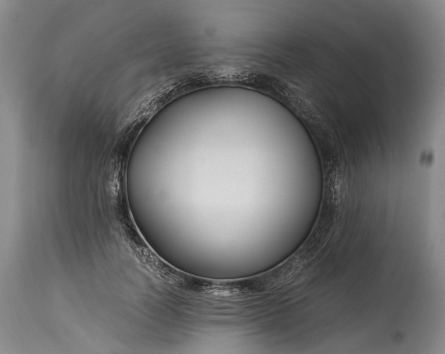 X0000115340746200911161831