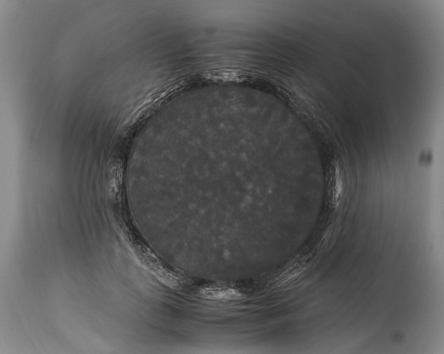 X0000115340747200911161831