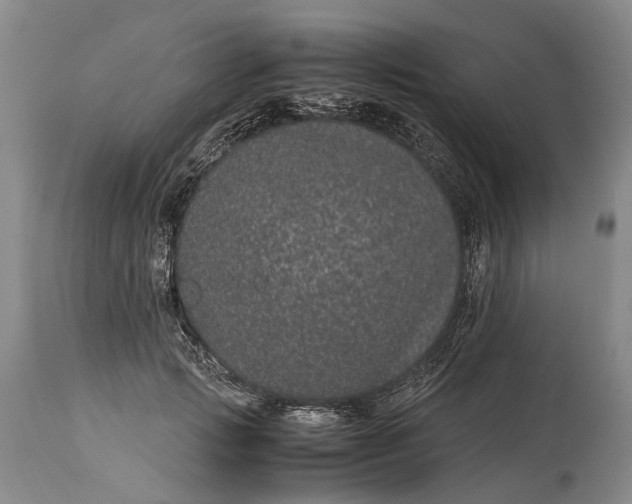 X0000115340749200911161831