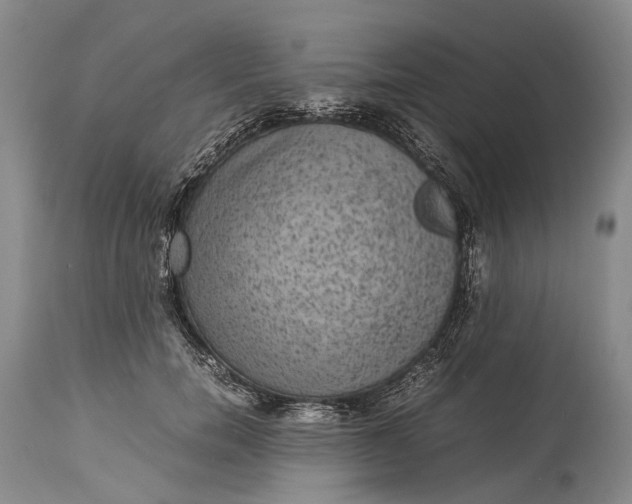 X0000115340750200911161831