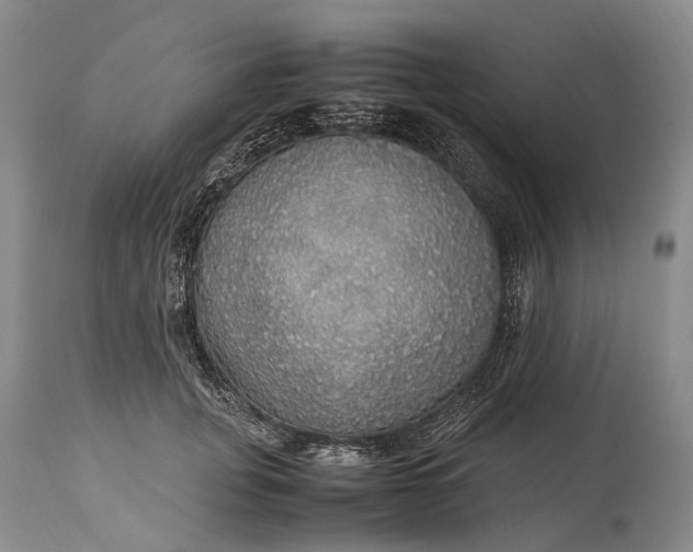 X0000115340751200911161831