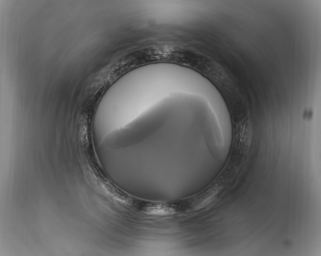 X0000115340754200911161831