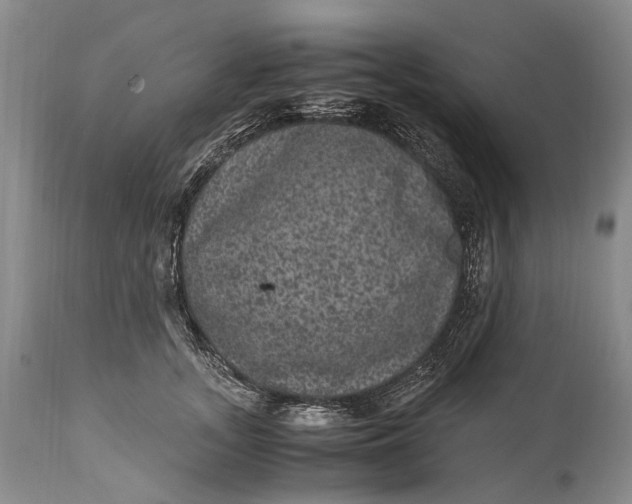 X0000115340755200911161831