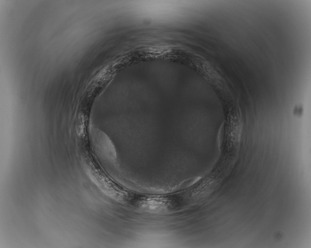 X0000115340758200911161831