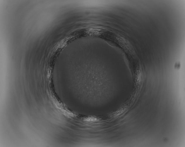 X0000115340759200911161831