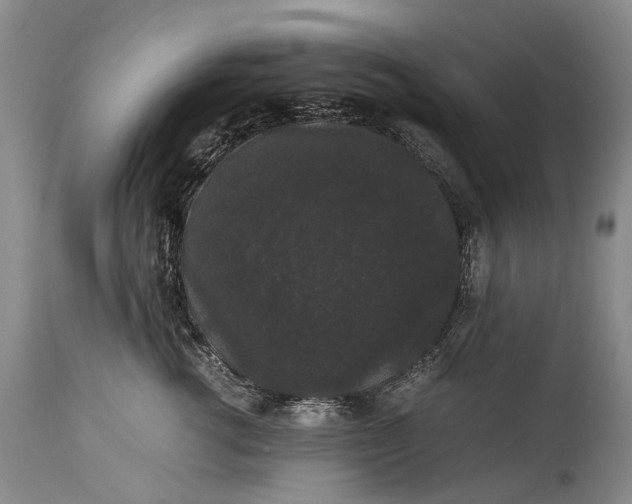X0000115340762200911161832