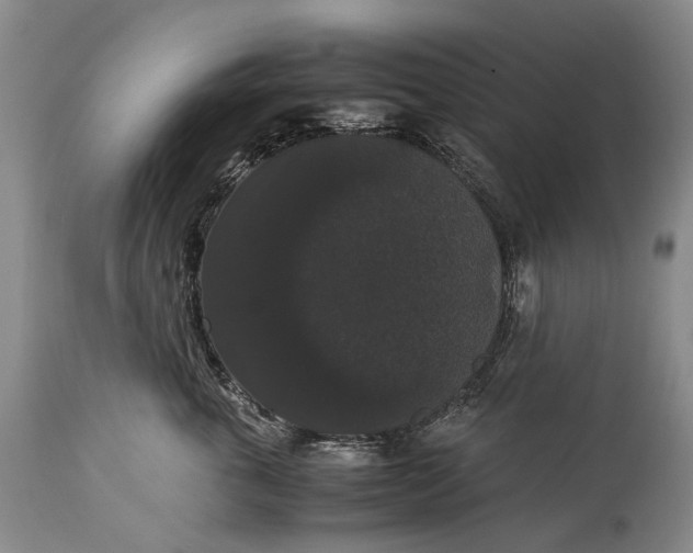 X0000115340763200911161832