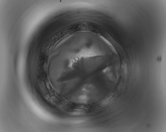 X0000115340765200911161832