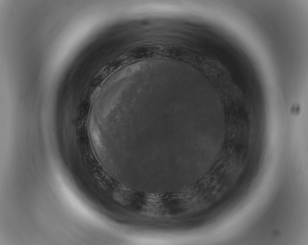 X0000115340766200911161832