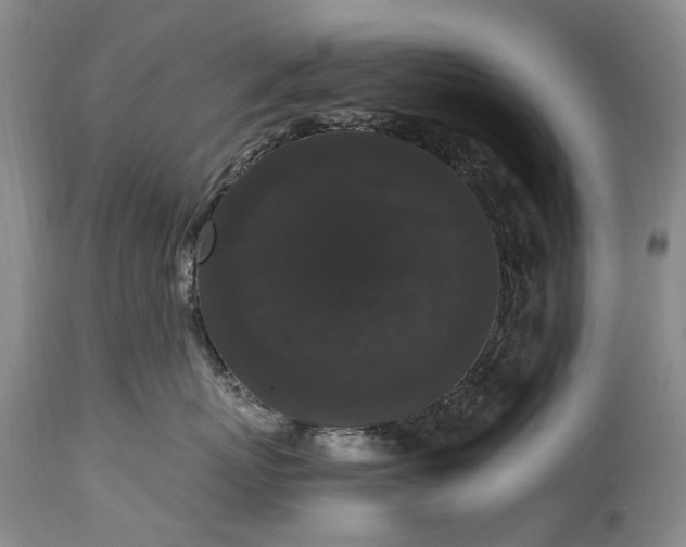 X0000115340767200911161832