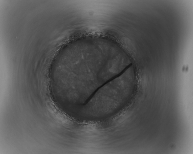X0000115340769200911161831