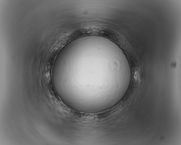 X0000115340771200911161831
