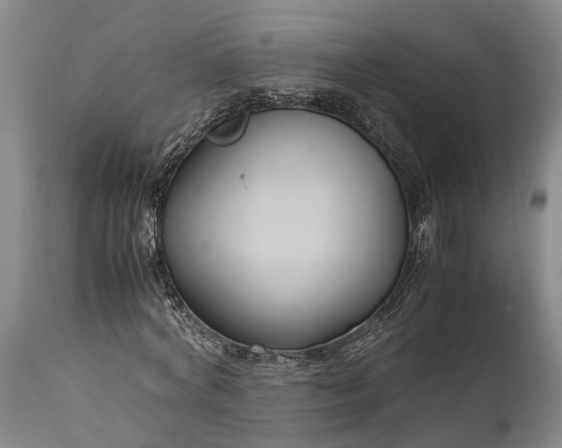 X0000115340772200911161831