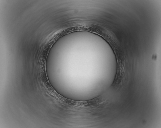 X0000115340773200911161831