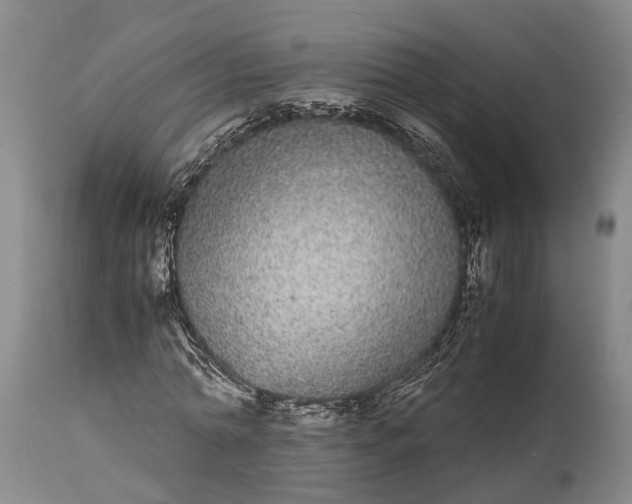 X0000115340774200911161831