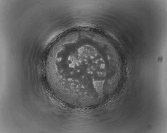 X0000115340775200911161831