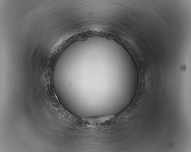 X0000115340776200911161831