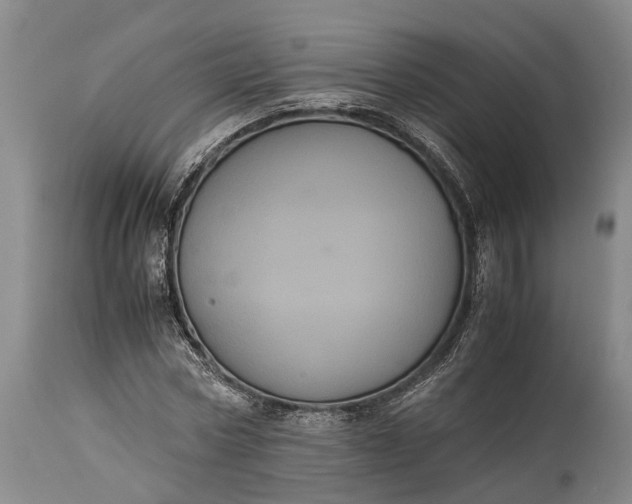 X0000115340778200911161831