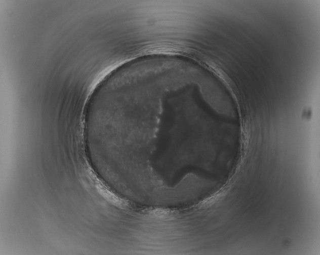 X0000115340779200911161831