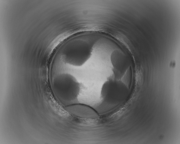 X0000115340781200911161831