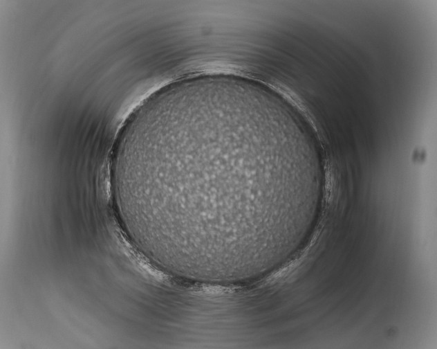 X0000115340782200911161831