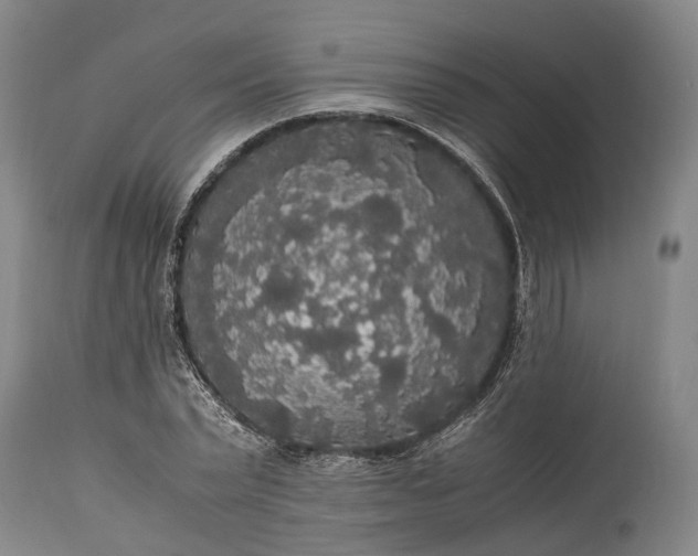 X0000115340783200911161831
