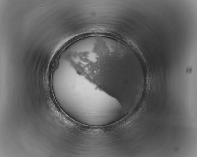 X0000115340784200911161831
