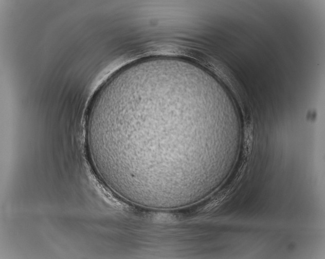 X0000115340787200911161831